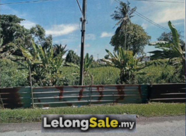Agricultural Land in Sarawak - Title no.Lot 12733 (Lot 29), Block 5, Kuala Baram Land District, Sarawak.
(Address: Lot 12733, Kg Sealine, Jalan Tudan, Miri, Sarawak)