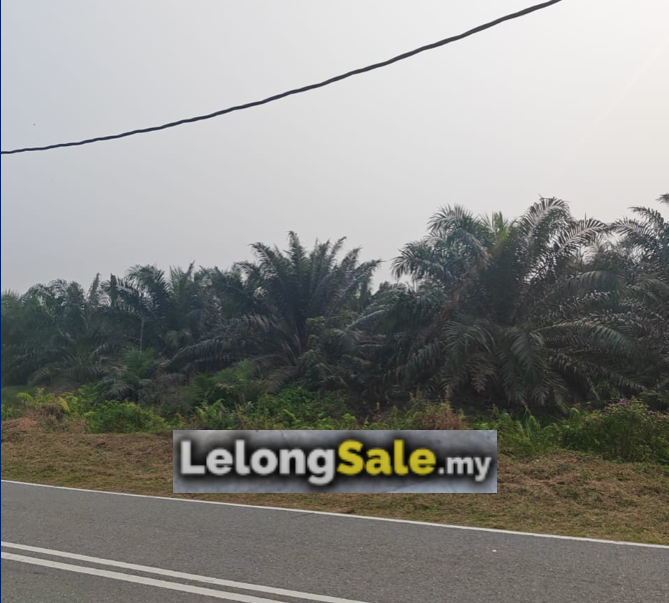 Agricultural Land in Johor - Lot No. 426 (GM4579), Mukim Tanjong Sembrong, Daerah Batu Pahat, Johor