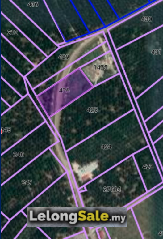 Agricultural Land in Johor - Lot No. 426 (GM4579), Mukim Tanjong Sembrong, Daerah Batu Pahat, Johor image 2
