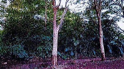 Residential Land in Johor - Lot No. 26237, Jalan Seri Kemawan 3, Taman Seri Kemawan, Kampung Jawa, 85000 Segamat, Johor
